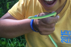 woman holds green snake 